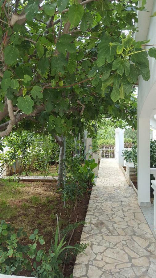 Apartments Marijeta Vir Exterior photo